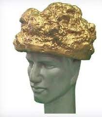 The Niner Nugget